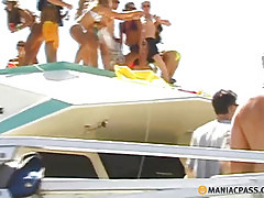 The men involved in the carnival heifers